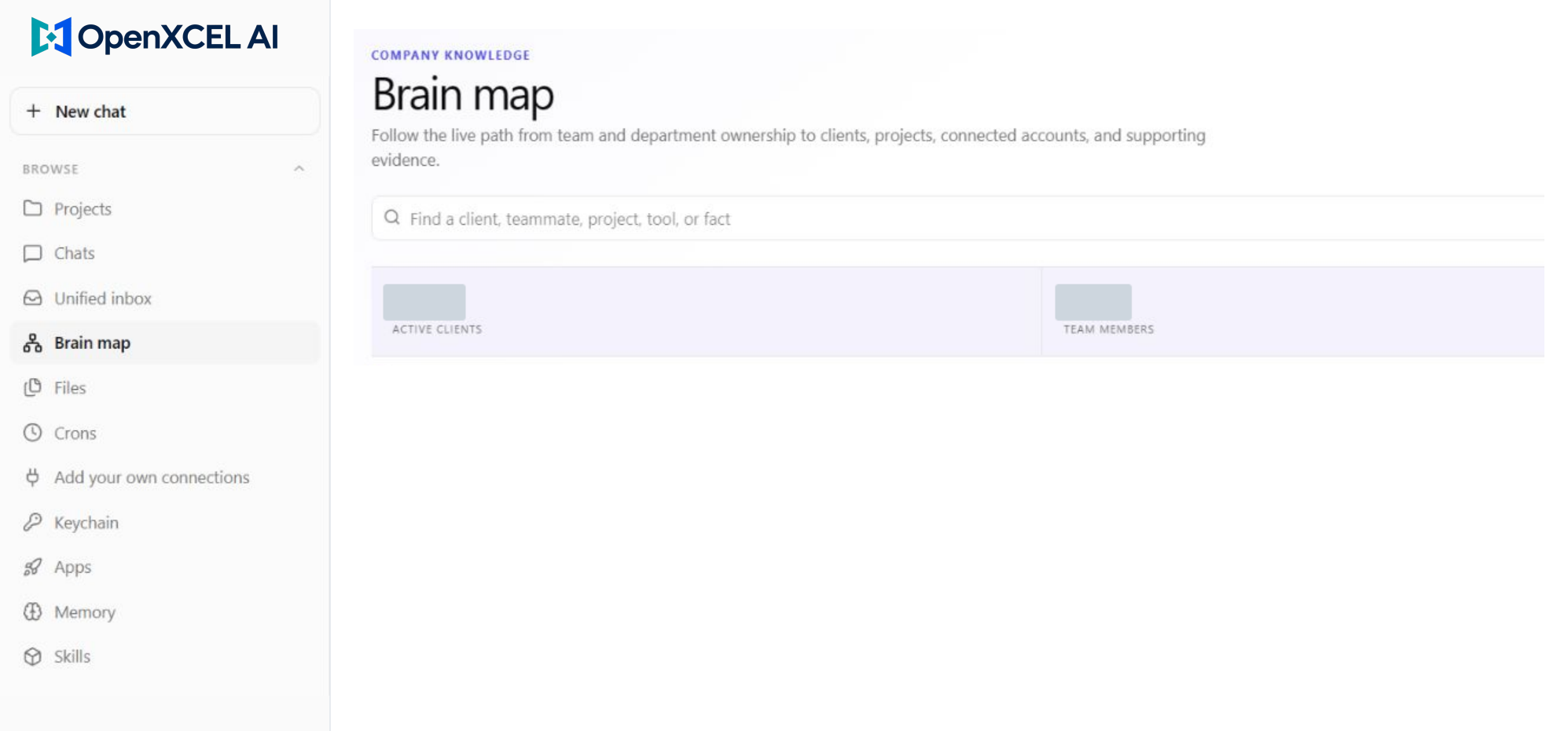 Branding-adapted Brain Map view with selected private details masked